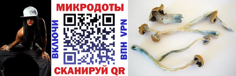 Купить  Валдай  Галлюциногенные грибы мицелий 